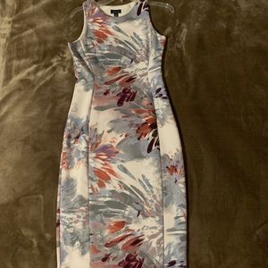 Long Slim Formal / Party Dress